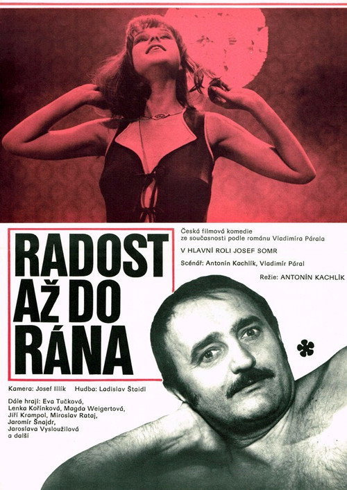 Radost až do rána poster 2
