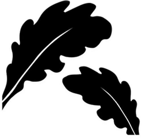 Twelve Oaks Cultural Communication