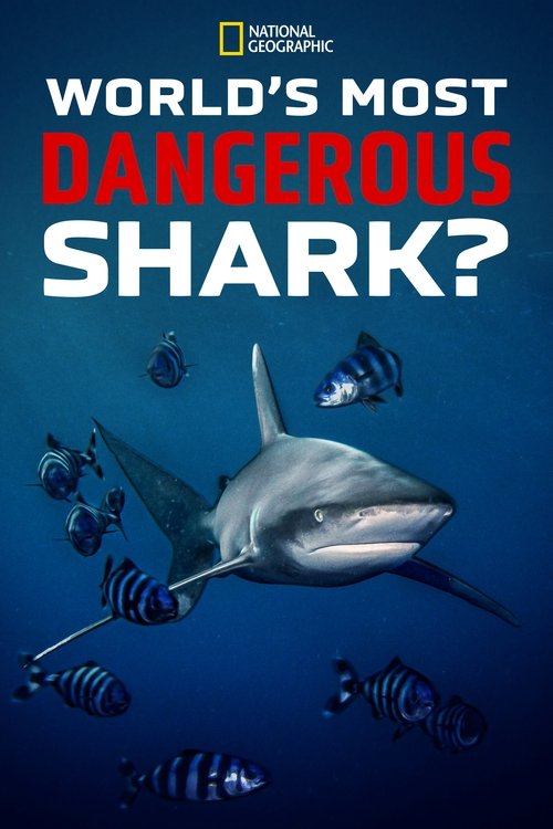 World's Most Dangerous Shark? Poster