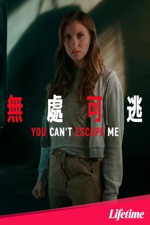 你逃不出我的手掌心电影海报