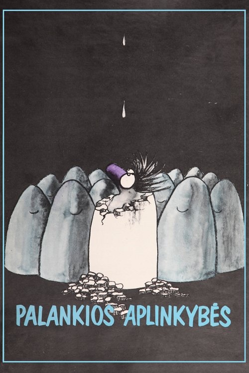Palankios aplinkybės