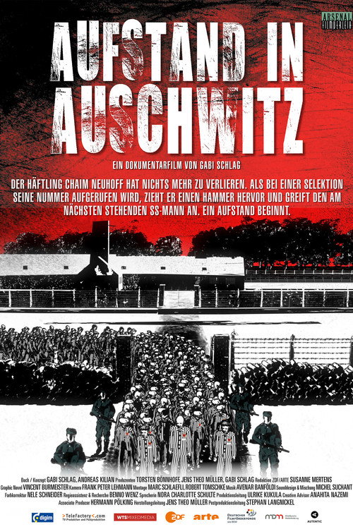 Aufstand in Auschwitz电影海报