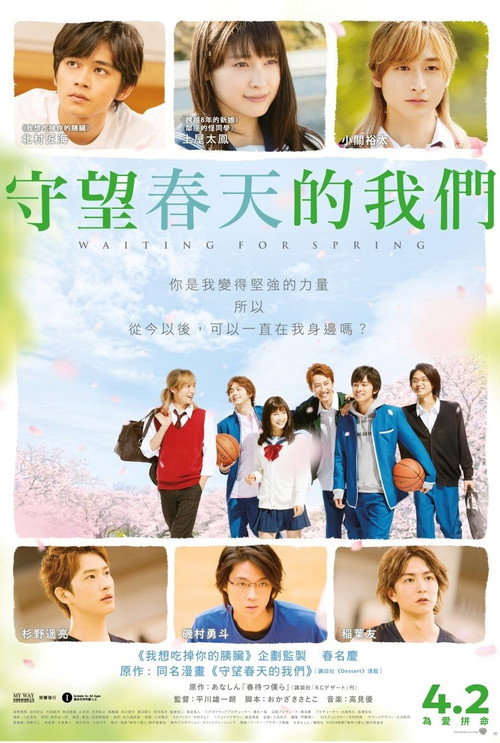 守望春天的我们电影海报