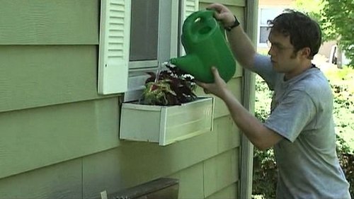 image1