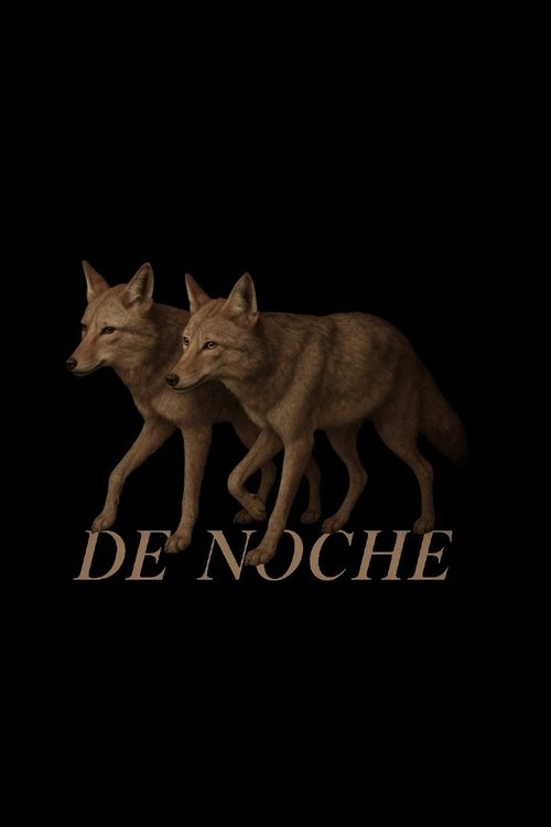De Noche Poster