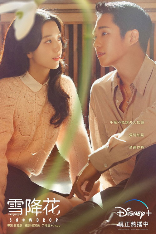 雪滴花电影海报