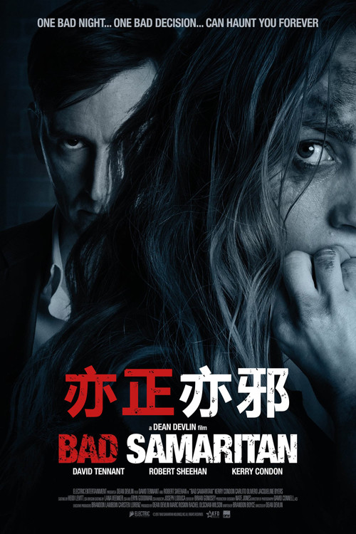 亦正亦邪电影海报