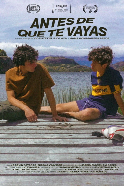 Antes de que te vayas电影海报