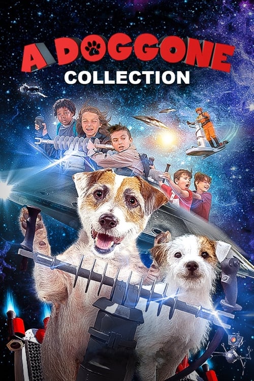 A Doggone Collection