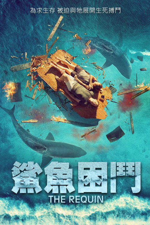 鲨海困斗电影海报