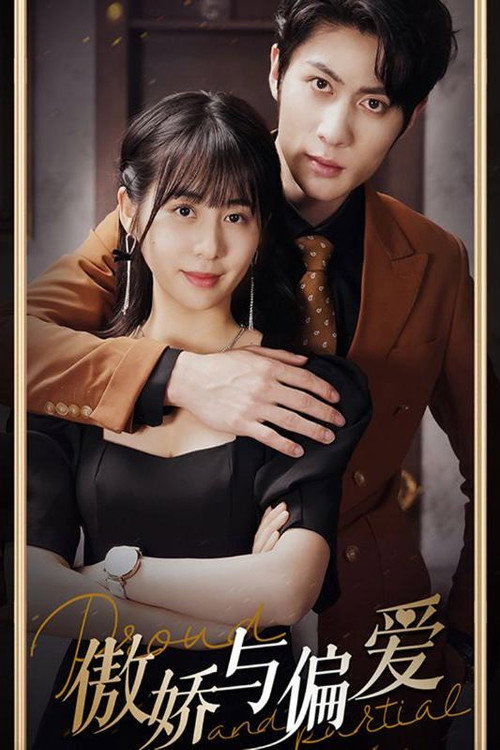 傲娇与偏爱电影海报