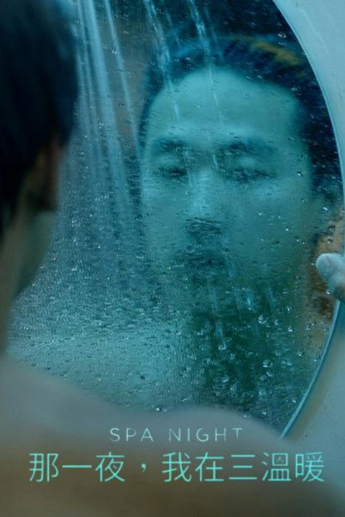 桑拿夜电影海报