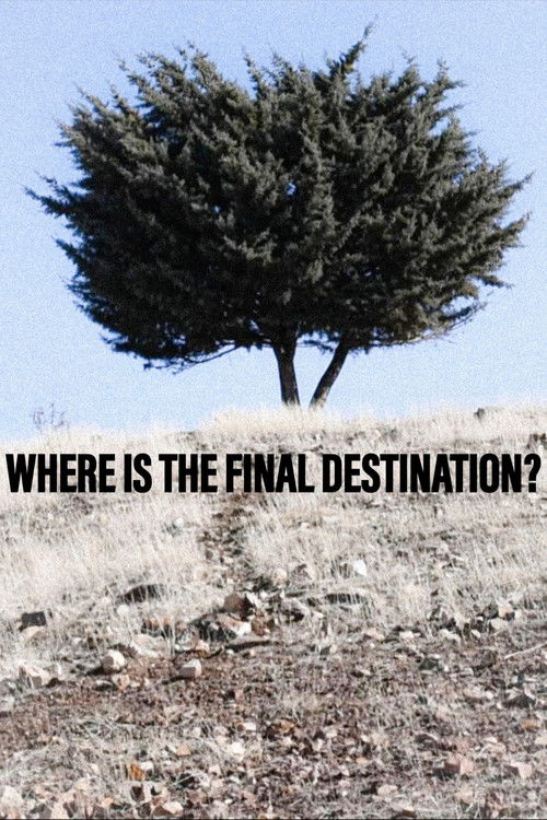 Where+is+the+Final+Destination%3F