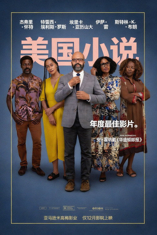 美国小说电影海报