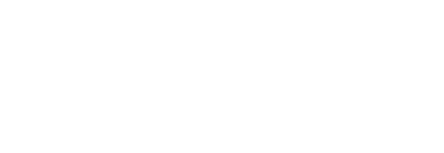 NICE GIRLS Logo