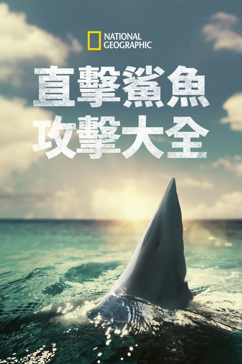 When Sharks Attack 360电影海报