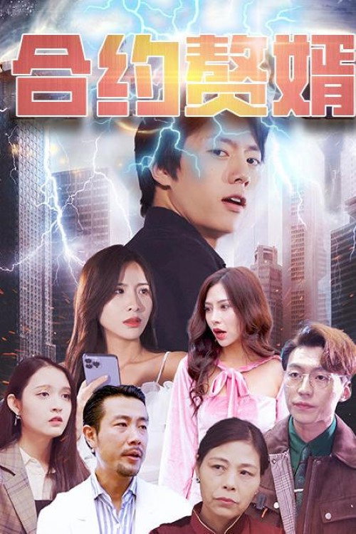 合约赘婿电影海报