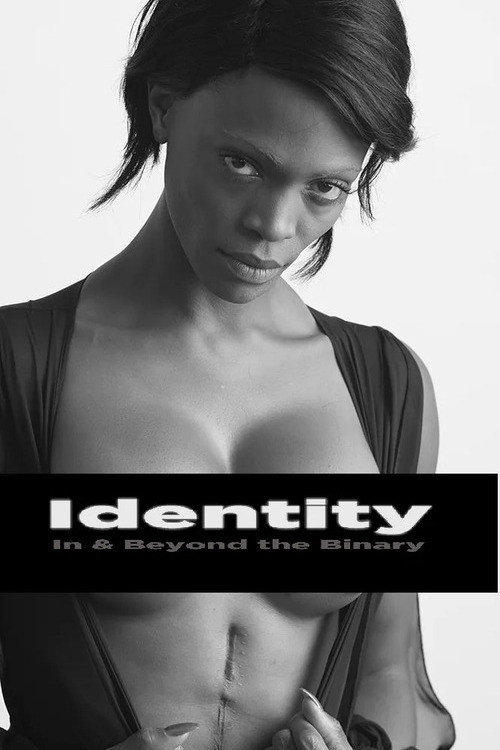 Identity: In and Beyond the Binary's poster