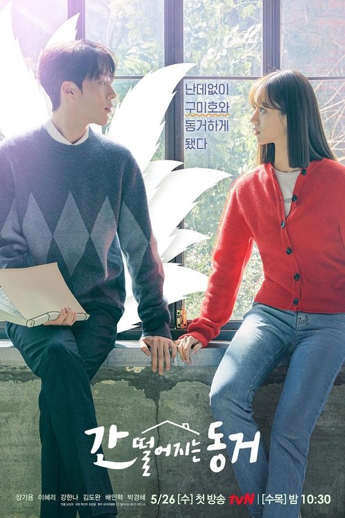Poster of Mi Compañero de Cuarto es un Gumiho