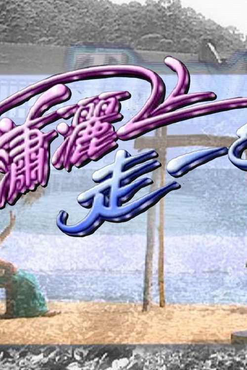 潇洒走一回电影海报