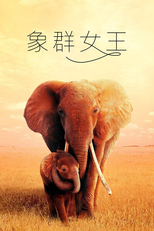 大象女王电影海报