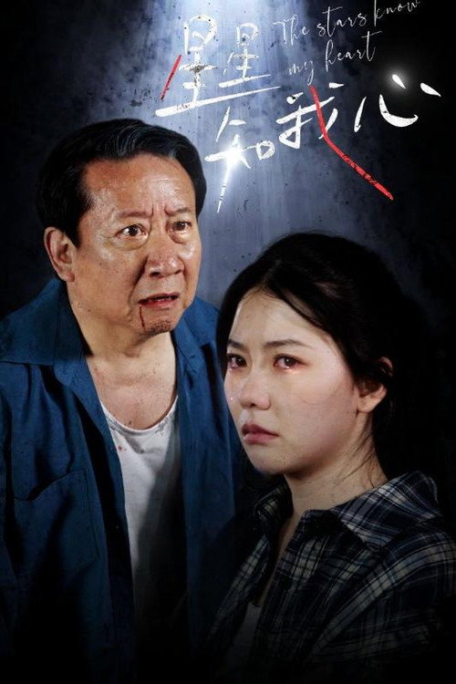 星星知我心电影海报