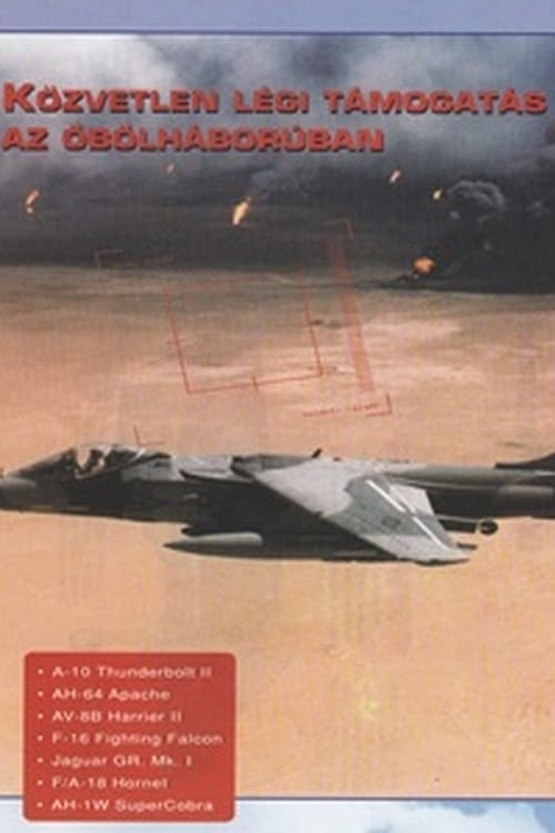 Combat in the Air - Close Air Support in the Gulf (1996) フルムービーストリーミングをオンラインで見る