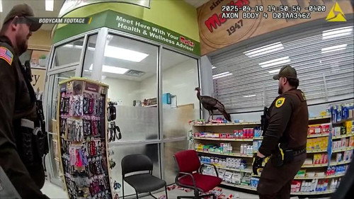 On Patrol: Live第3季第71集