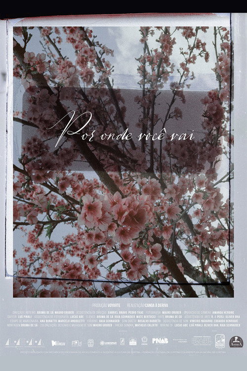 The places you wander Poster