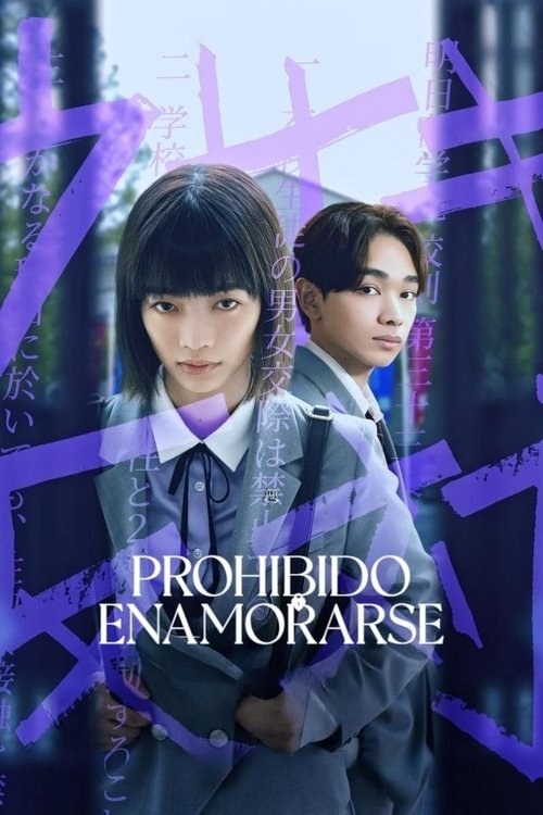 Poster of Prohibido enamorarse