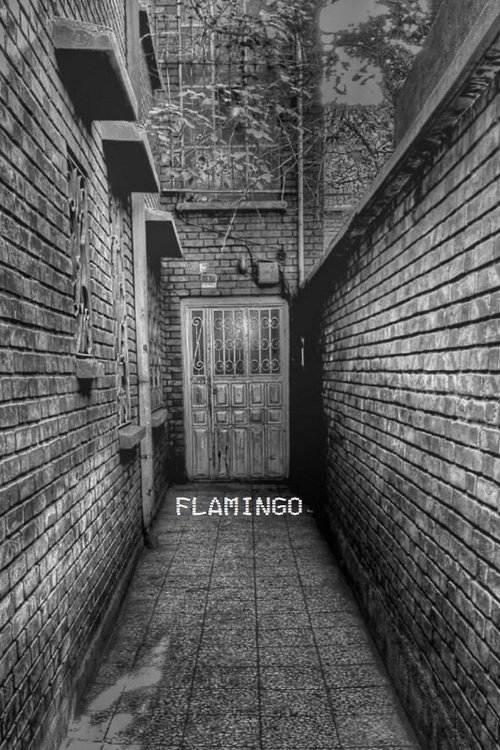 Flamingo Poster