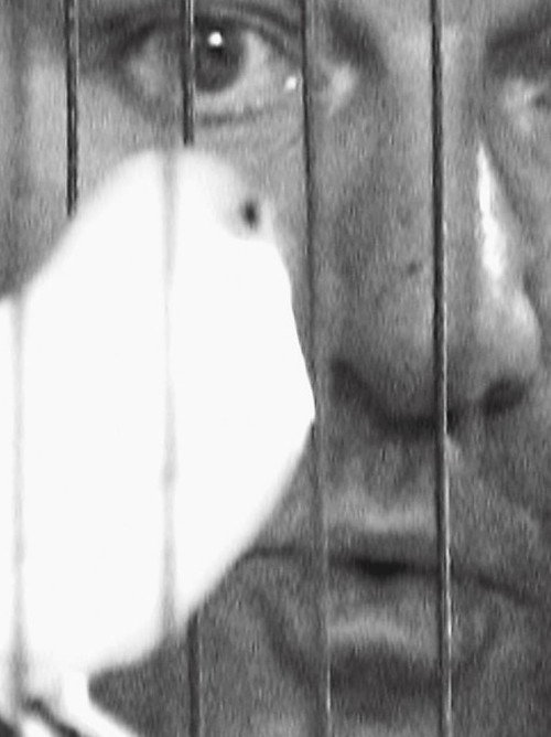 Meistersinger: The Sound of Russia电影海报