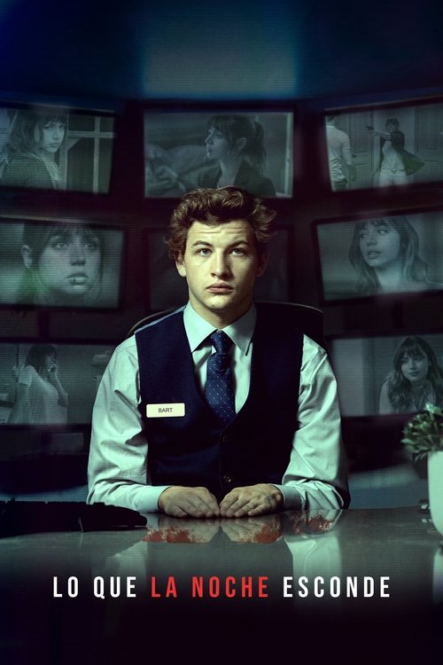 Poster of El recepcionista nocturno
