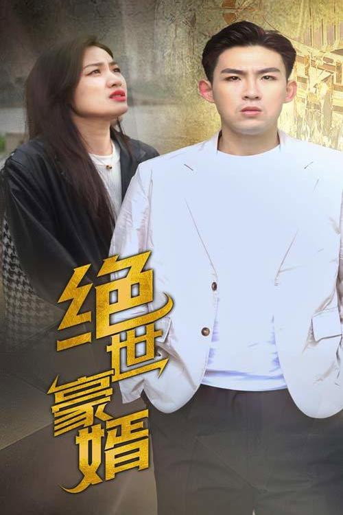 绝世豪婿电影海报