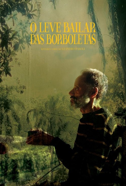 O Leve Bailar das Borboletas Poster