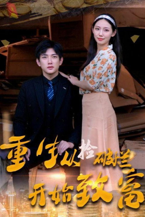 重生从捡破烂开始致富电影海报