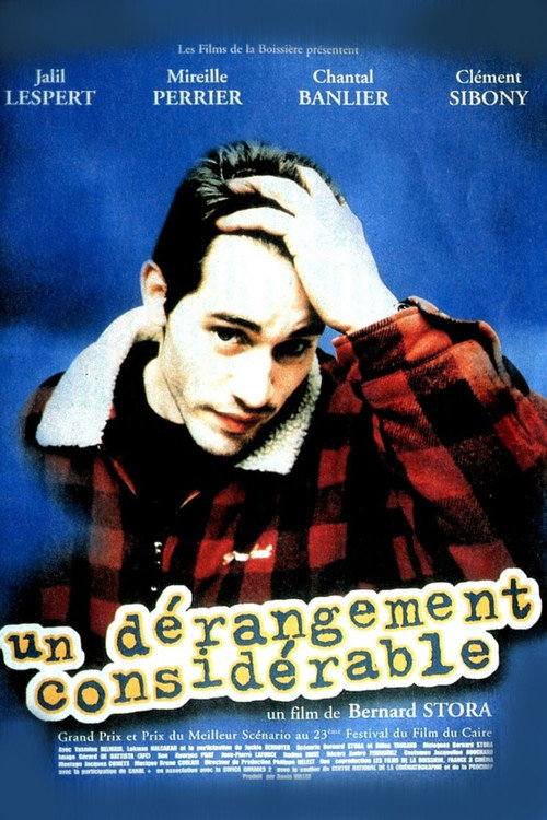 A Considerable Disturbance poster 4