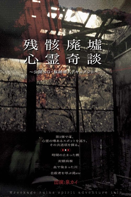 Remnants: Ruins of Spirit Tales - Unreleased Footage & Infiltration Document Poster