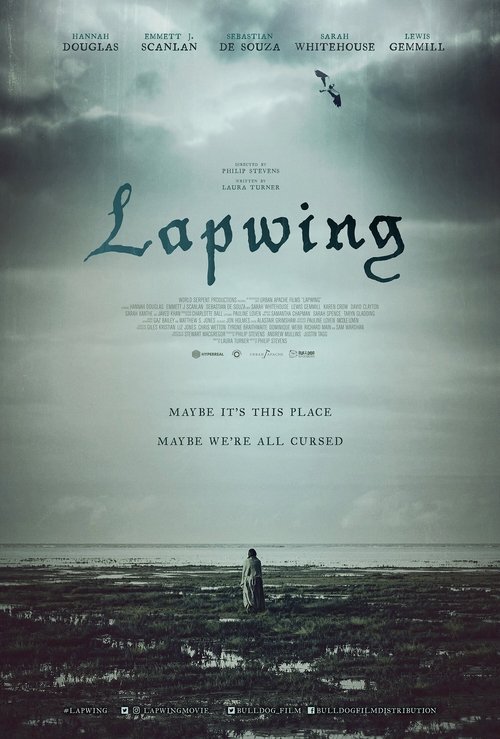 Lapwing (2021) Lapwing (2021)