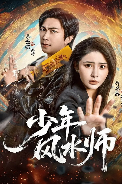 少年风水师电影海报
