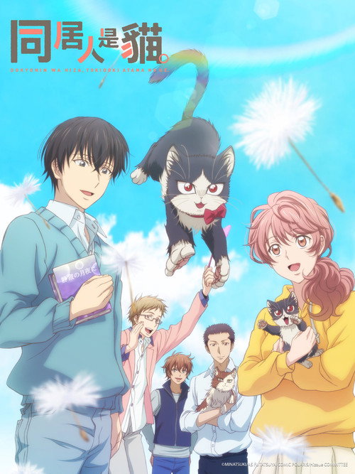 同居人是猫电影海报