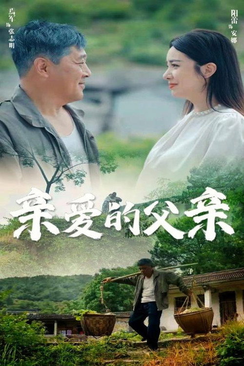 亲爱的父亲电影海报