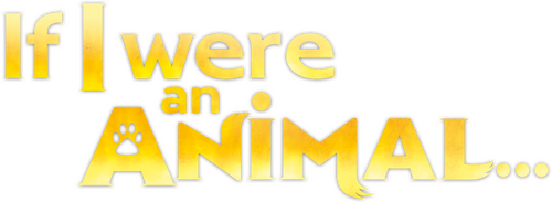 movies