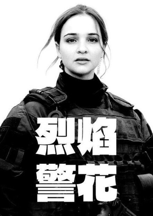 警察们电影海报