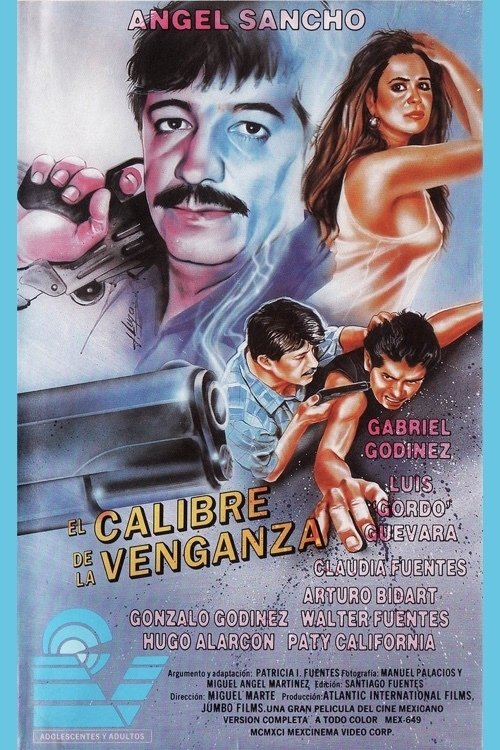 El calibre de la venganza poster