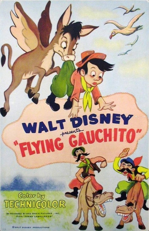 The Flying Gauchito poster 2