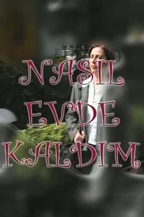 Nasıl Evde Kaldım poster 2
