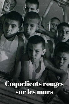 Coquelicots rouges sur les murs