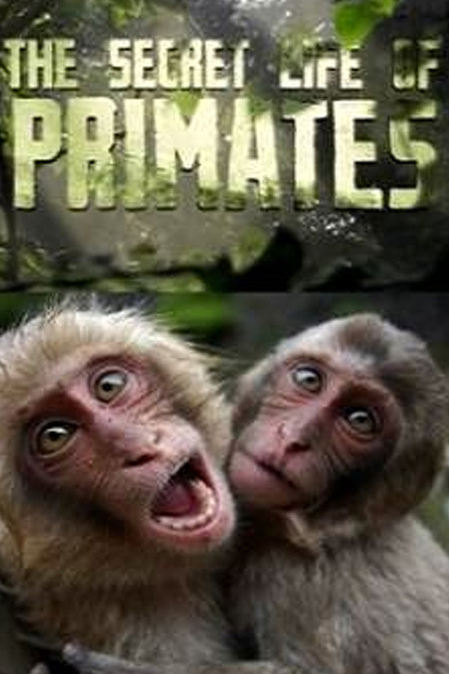 The Secret Life of Primates电影海报