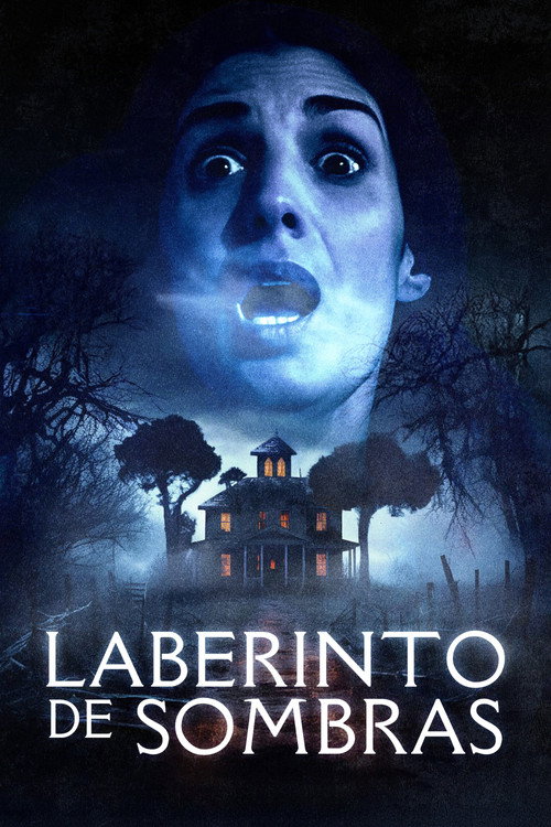 Laberinto de sombras poster 2
